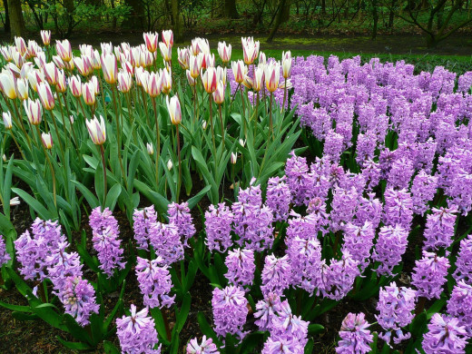 432915 (a): :1600x1200